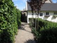 /album/fotogalerij/afbeelding-020-jpg1/